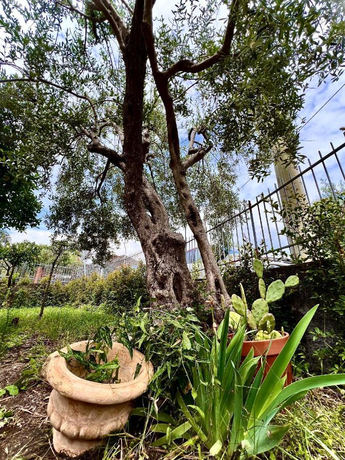 Casa Vacanze "Sautufao" Santa Venerina Exterior photo
